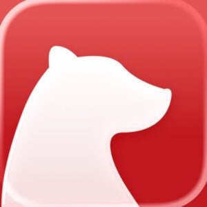 Bear app icon