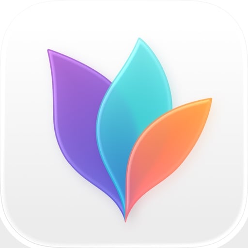 MindNode app icon